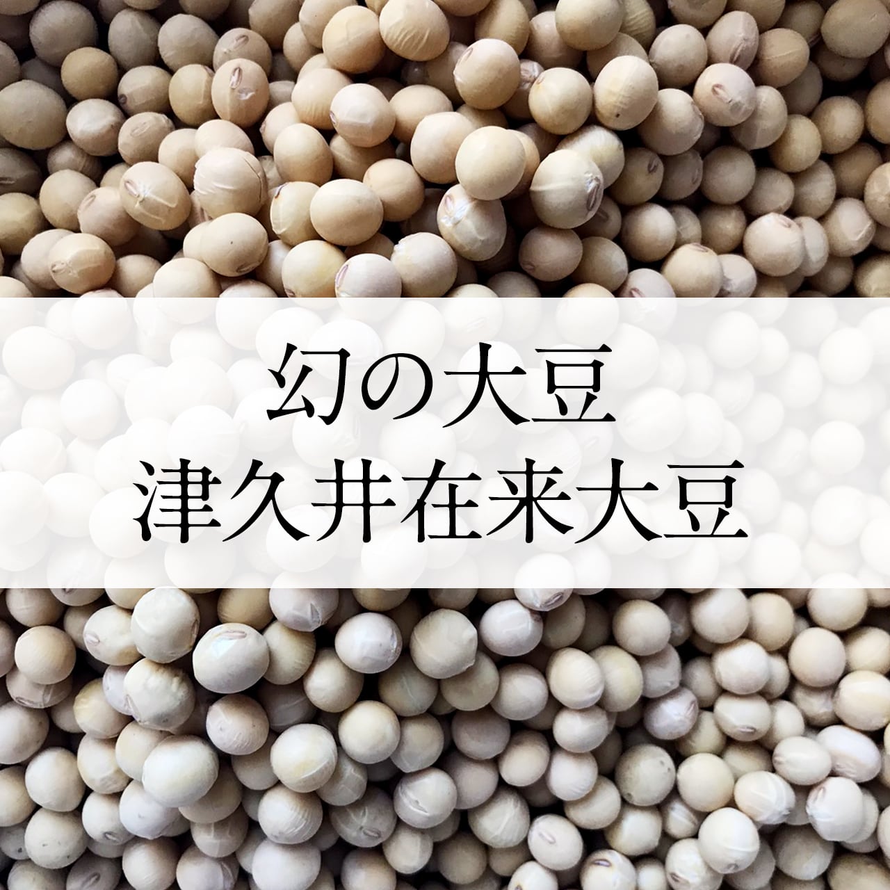 c64813250867d024e384c8c5992ff1