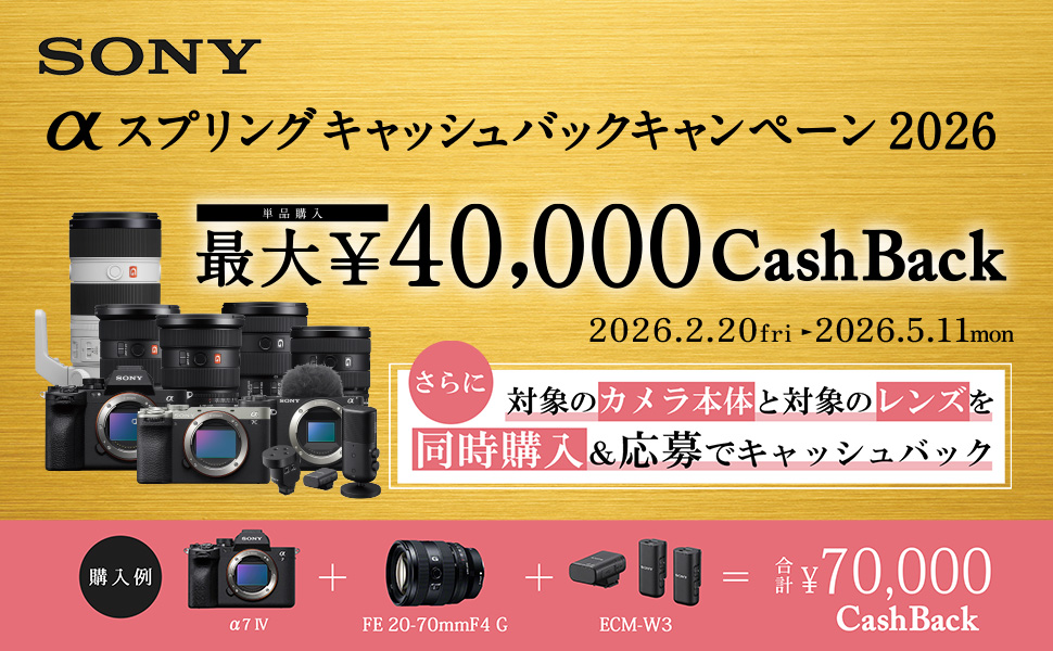 Amazon | SONY(ソニー) 【α7CM2 と バッテリー/チャージャー セット