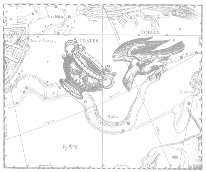 大人が楽しめる図鑑。想像力をかきたてる美しい博物誌 | nostos books