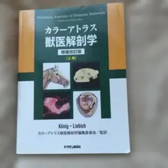 2026年最新】カラーアトラス獣医解剖学〈下巻〉の人気アイテム - メルカリ